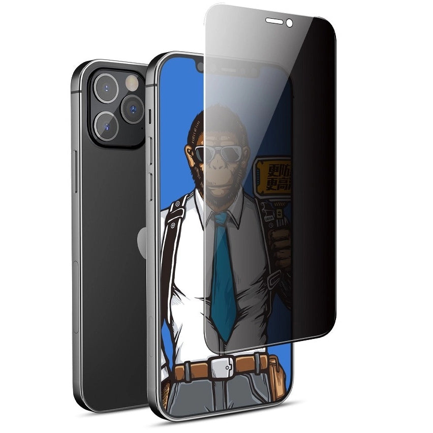 Zaštitna folija za ekran Privacy Blueo za Apple iPhone 17e / 16e / 14 / 13 Pro, Kaljeno staklo, Full Glue, 5D