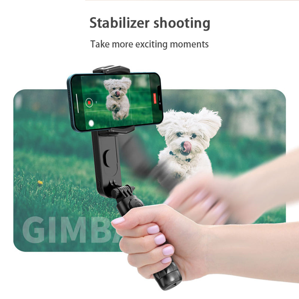 Selfie Stick Bluetooth Techsuit Q09, Univerzalan, Crn