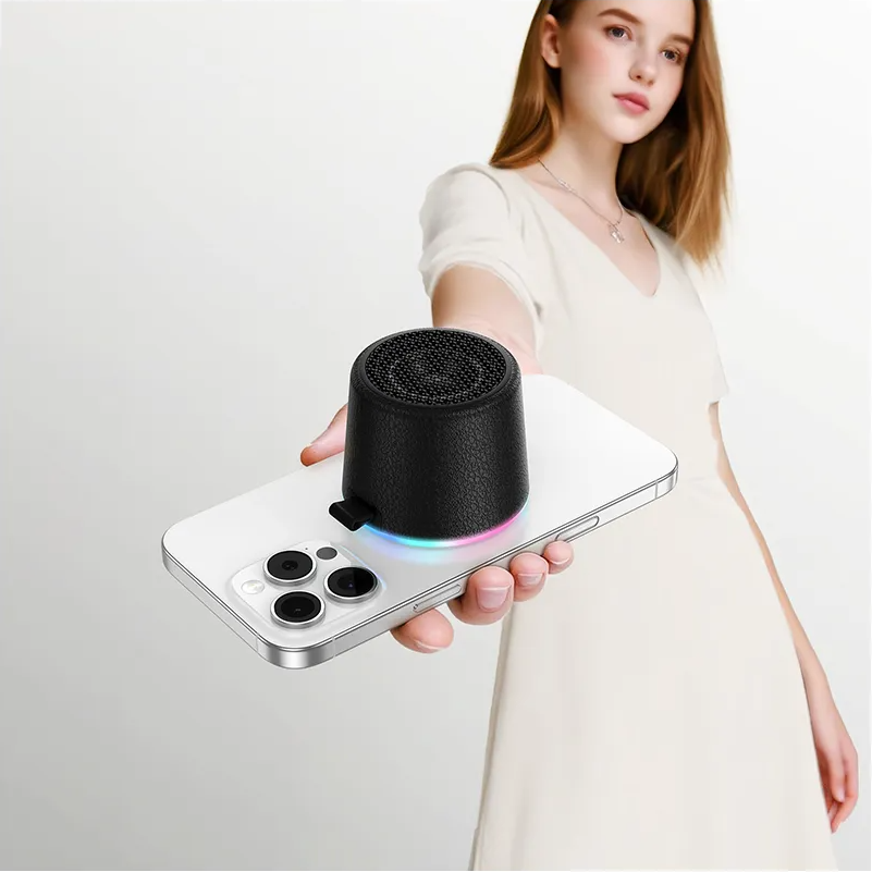 Prenosivi Bluetooth zvučnik HOCO HC49 Mini Magnetic, 8W, TWS, Crna