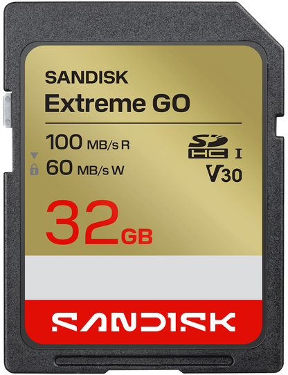 SDHC memorijska kartica SanDisk Extreme Go, 32Gb, Klasa 10 / UHS-1 U1 SDSDXGN-032G-GNCIN