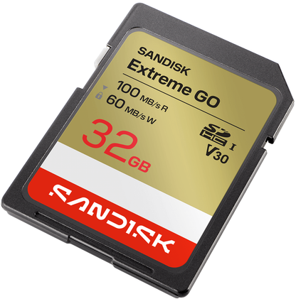 SDHC memorijska kartica SanDisk Extreme Go, 32Gb, Klasa 10 / UHS-1 U1 SDSDXGN-032G-GNCIN