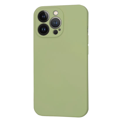MagSafe futrola za Apple iPhone 13 Pro, Techsuit, SoftFlex, Matcha