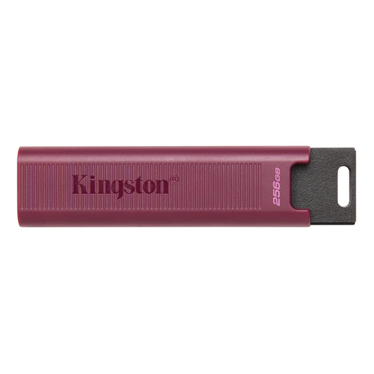 Memorija Eksterna USB-A 3.2 Kingston DT Max, 256Gb DTMAXA/256GB