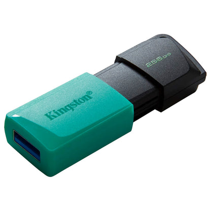 Eksterna memorija USB-A 3.2 Kingston DT Exodia M, 256Gb DTXM/256GB