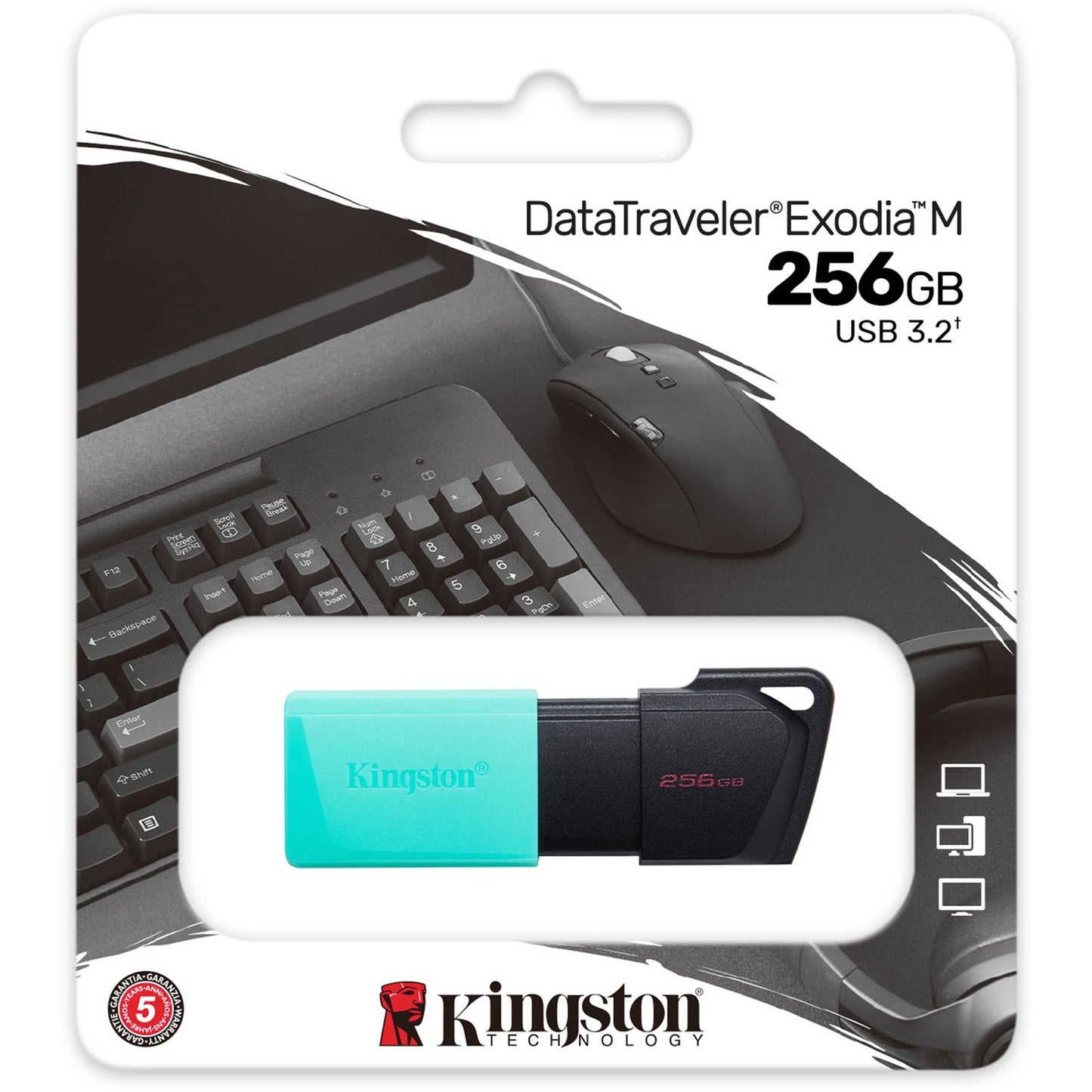 Eksterna memorija USB-A 3.2 Kingston DT Exodia M, 256Gb DTXM/256GB