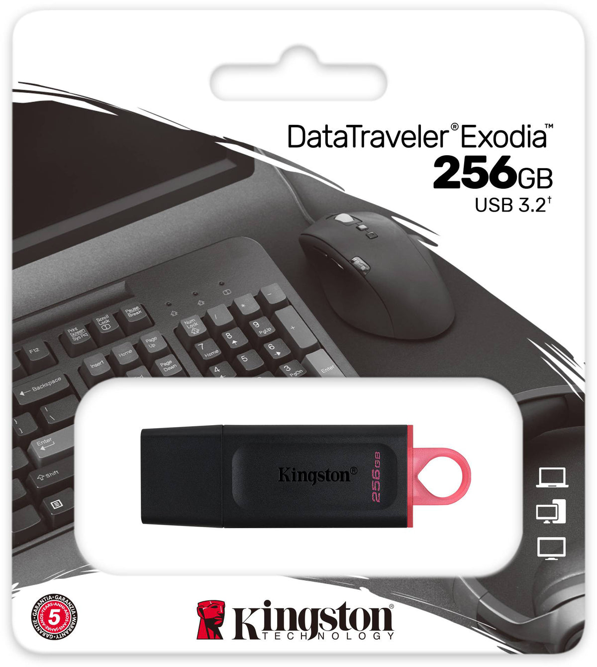 Eksterna memorija USB-A 3.2 Kingston DT Exodia, 256Gb DTX/256GB