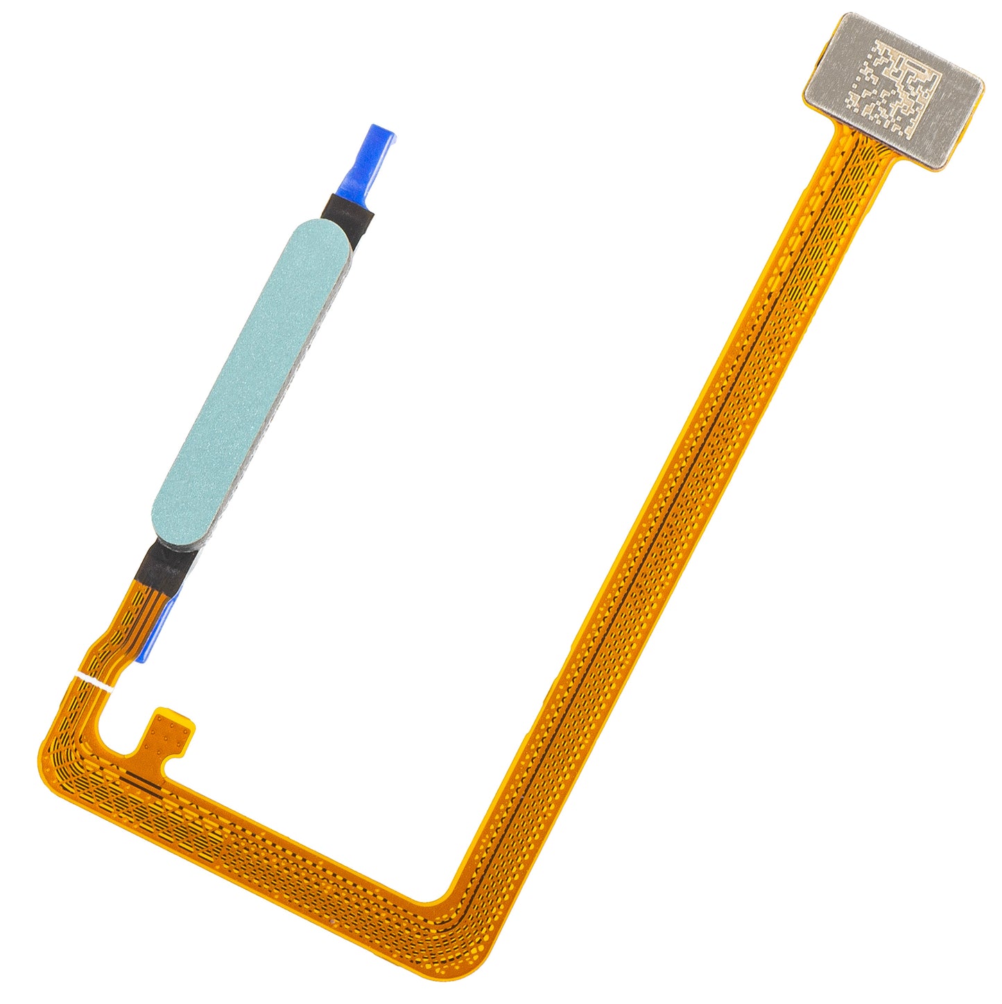 Senzor otiska prsta Honor X5c Plus, sa trakom, Tirkiz (Cyan Lake), Service Pack 9707ACFG