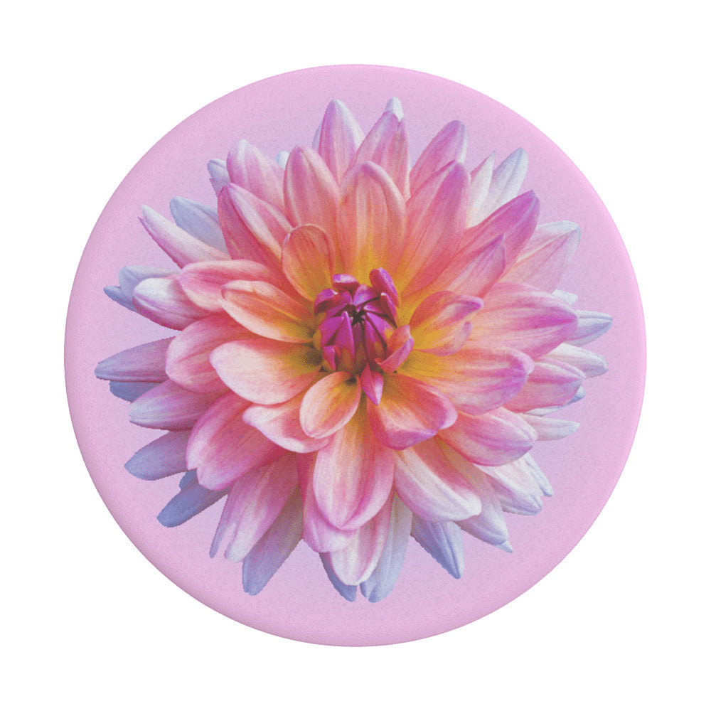 Držač PopGrip Popsockets Dahlia Icon, Višebojni